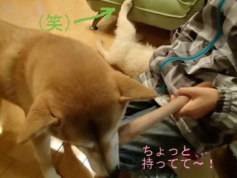 BlogPaint