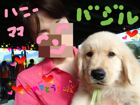BlogPaint