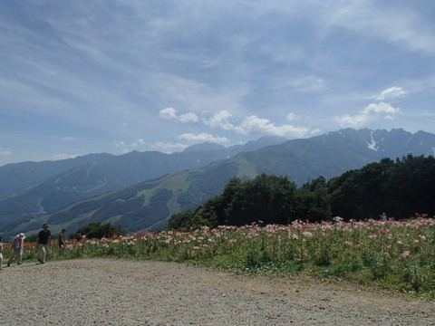 P8030089