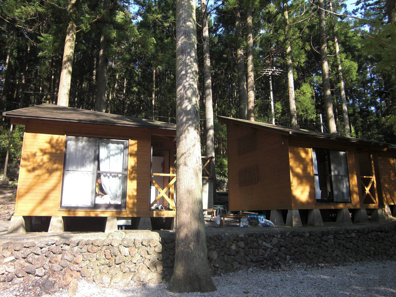 わじきライン林間キャンプ村 みやこはん