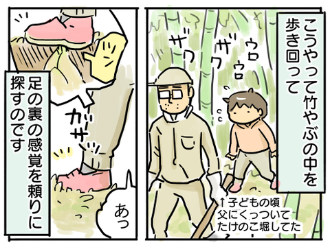 父のたけのこ3