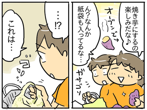 サツマイモ2