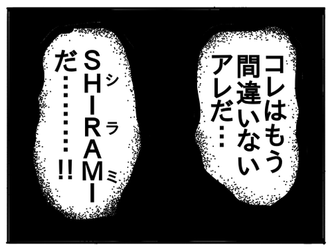 シラミ11