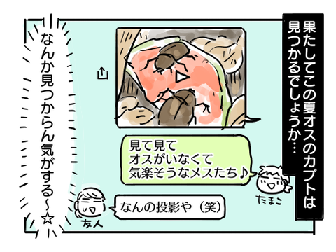 近況1381-4