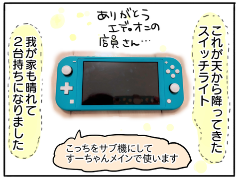 天から降ってきたスイッチライト11