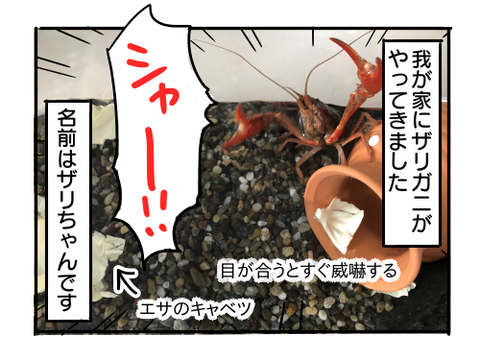 近況978