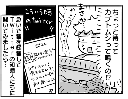 日常1264