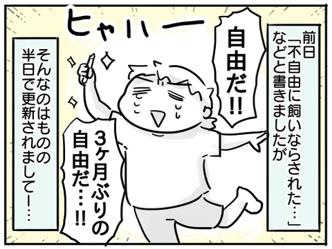 大リーグ養成ギプス1
