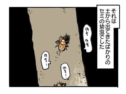 近況1357