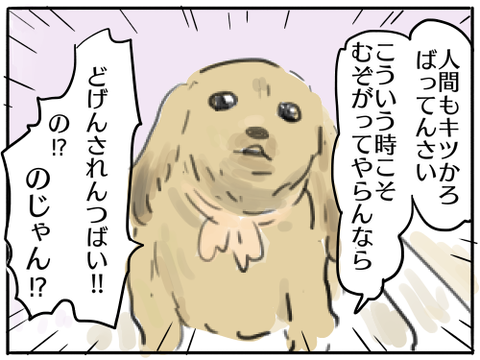自粛犬3