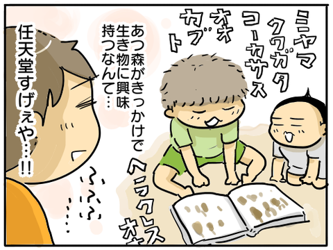 虫捕り少年3