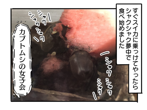 近況1375