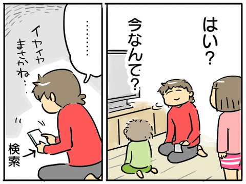 北条家の家紋4