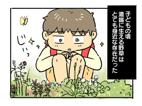 近況509