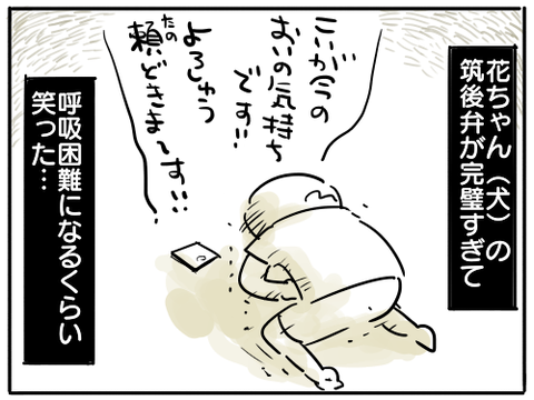 自粛犬4