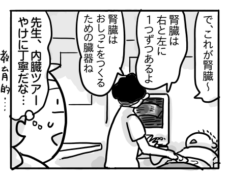 日常933