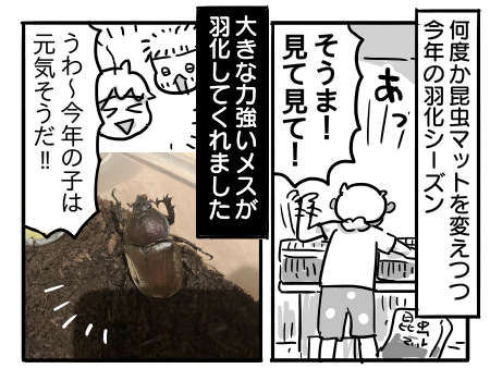 日常1257