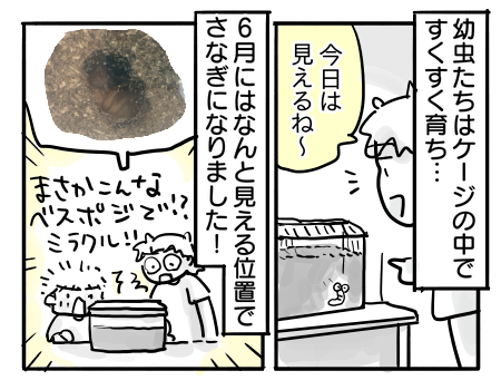 日常1041