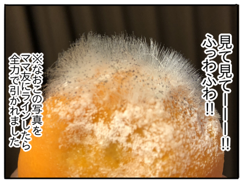 みかんのカビ6