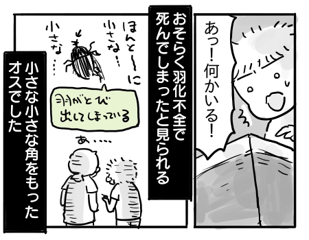 日常1047