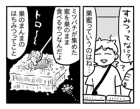 日常1236