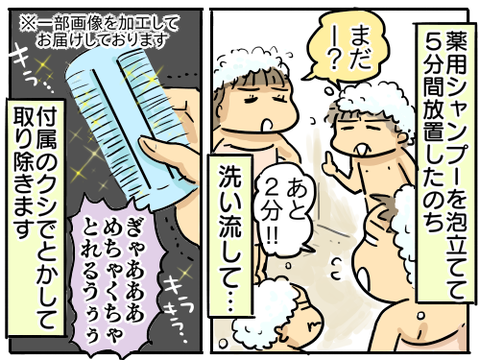 シラミ20