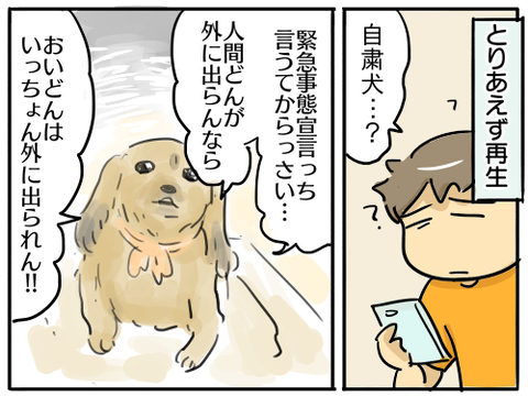 自粛犬2