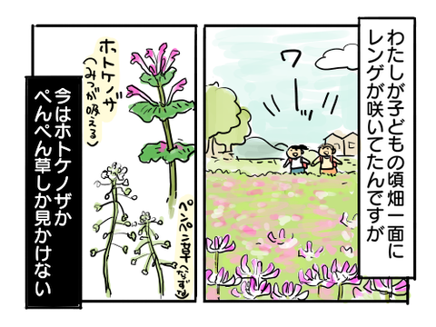 近況506