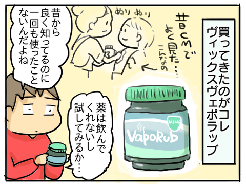 ヴィックス2
