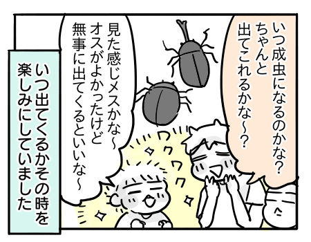 日常1042