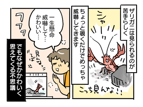 近況987
