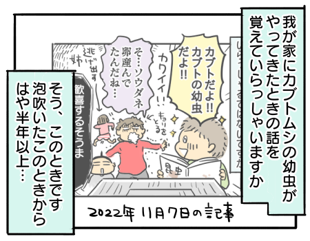 日常1040