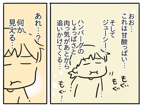 パインハンバーグ8