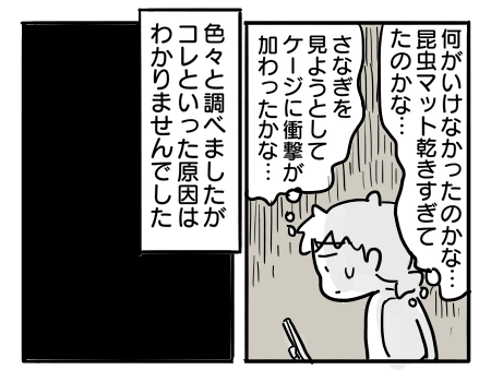 日常1049
