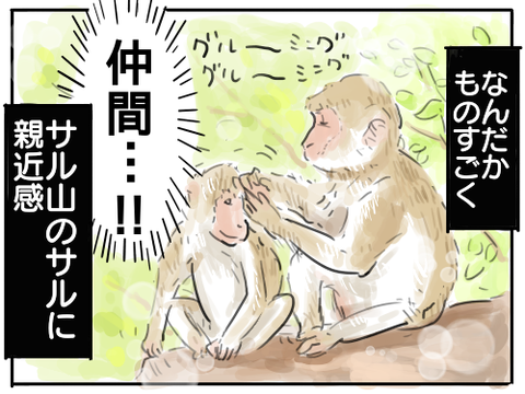 シラミ25