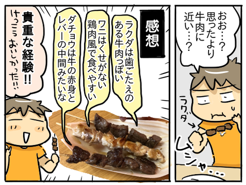 リトルワールド11