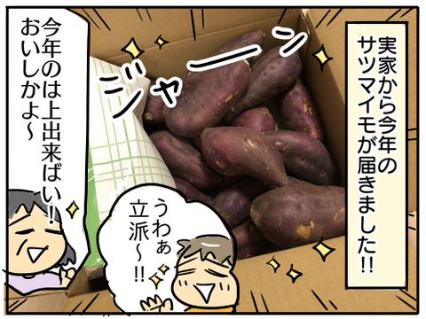 サツマイモ1