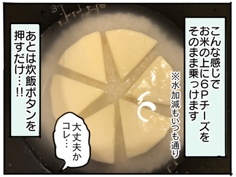 6Pチーズご飯4