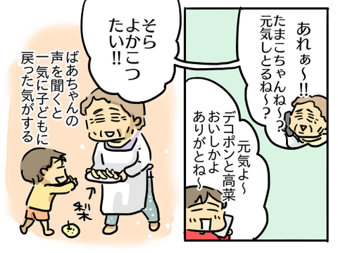 高菜4