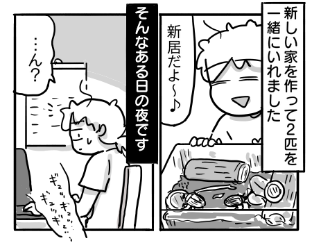 日常1262