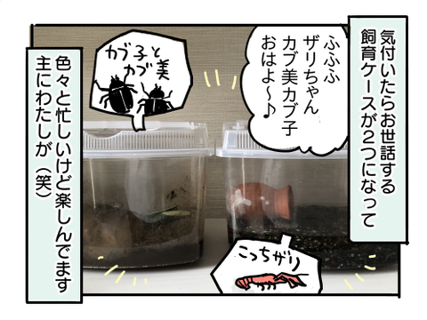 近況1382-2