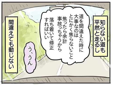 カーナビ11