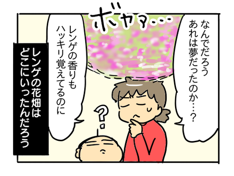 近況508