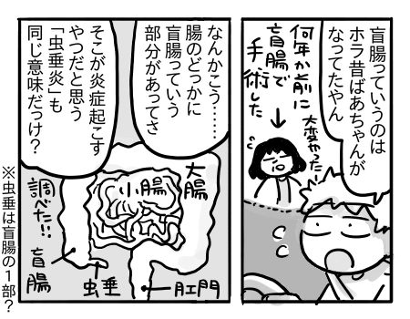 日常941