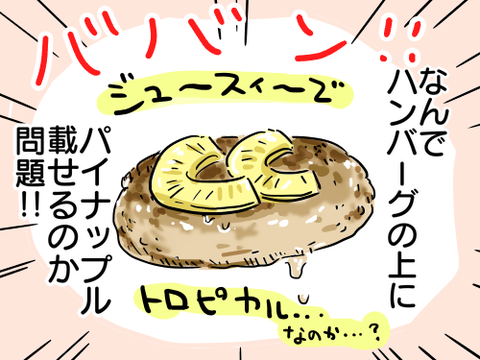 パインハンバーグ2