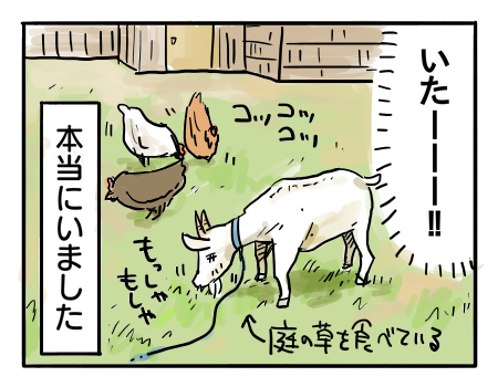 日常610
