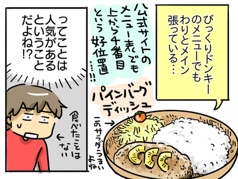パインハンバーグ3