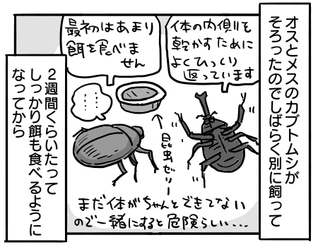 日常1261