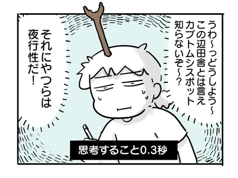 近況1348