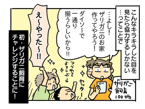 近況982